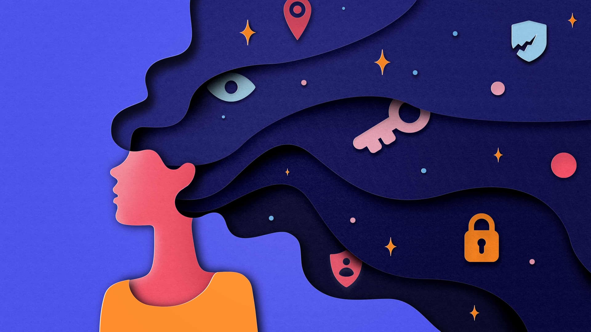 Privacy Hub image